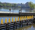 PICTURES/Prague - Kampa Island/t_Penguins3.jpg